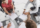 demo-attachment-1154-four-businesspeople-in-a-boardroom-with-paperwork-PC4V8H4@2x