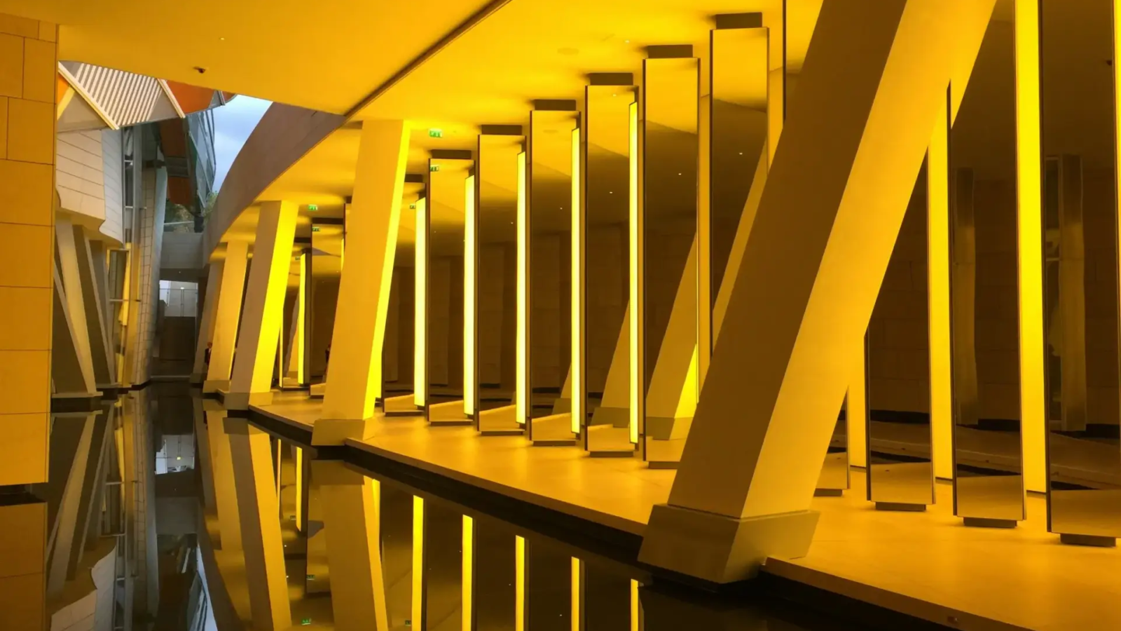 operational set up and foundations